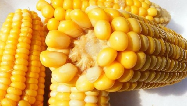 Foto - Göz sağlığına iyi gelen besinler