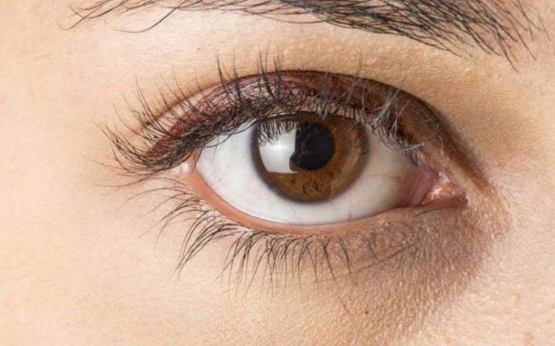 Foto - Göz sağlığını koruyan 10 besin