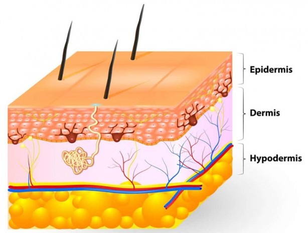 Foto - Gözenekler neden belirginleşir?