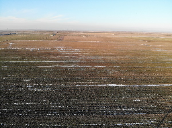 Foto - Gözler kar yağışında! Rekoltenin yakalanması için kar bekleniyor