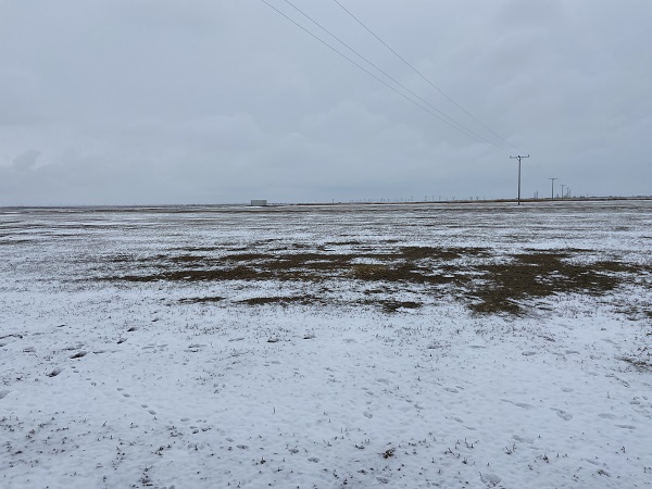 Foto - Gözler kar yağışında! Rekoltenin yakalanması için kar bekleniyor