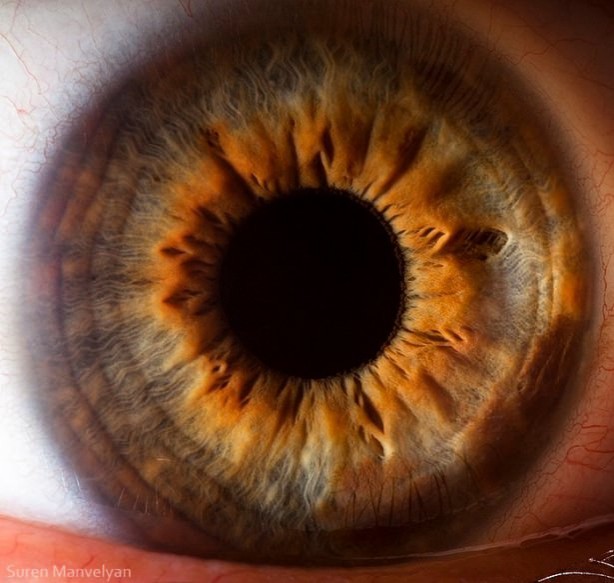 Foto - Gözlere bir de yakından bakın