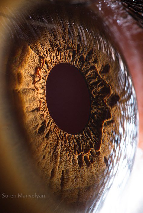 Foto - Gözlere bir de yakından bakın