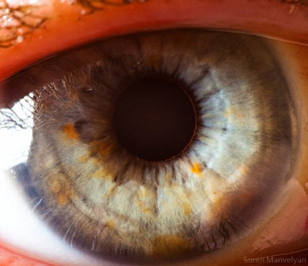 Foto - Gözlere bir de yakından bakın