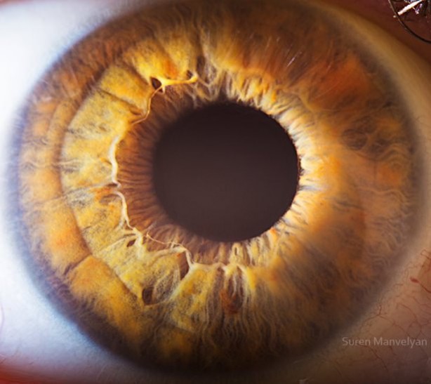 Foto - Gözlere bir de yakından bakın