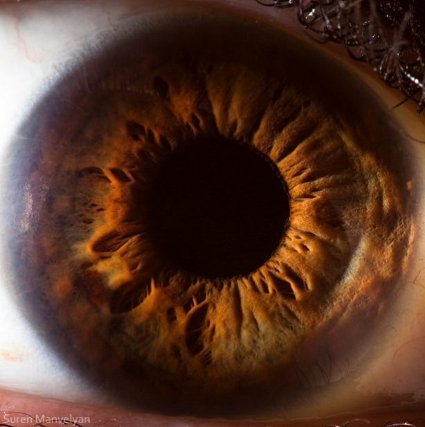 Foto - Gözlere bir de yakından bakın