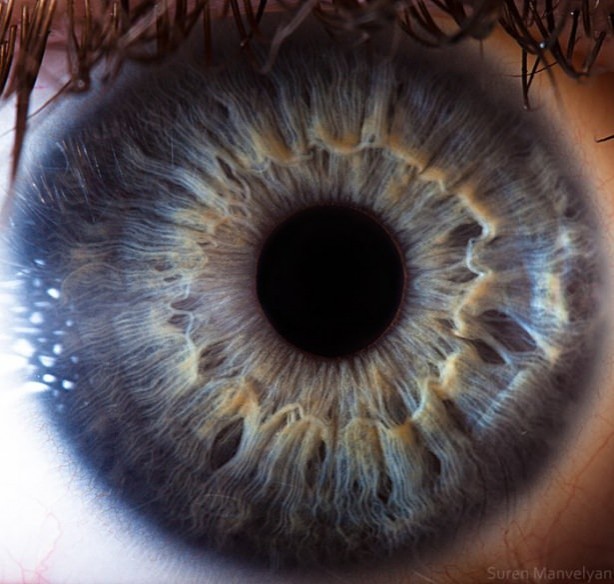 Foto - Gözlere bir de yakından bakın