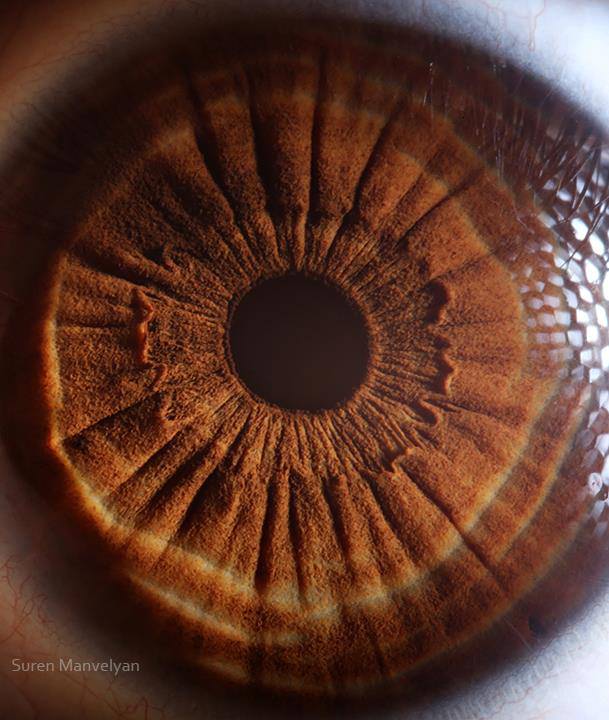 Foto - Gözlere bir de yakından bakın