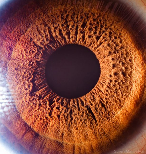 Foto - Gözlere bir de yakından bakın