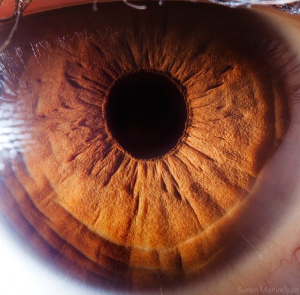 Foto - Gözlere bir de yakından bakın