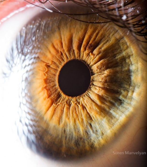 Foto - Gözlere bir de yakından bakın