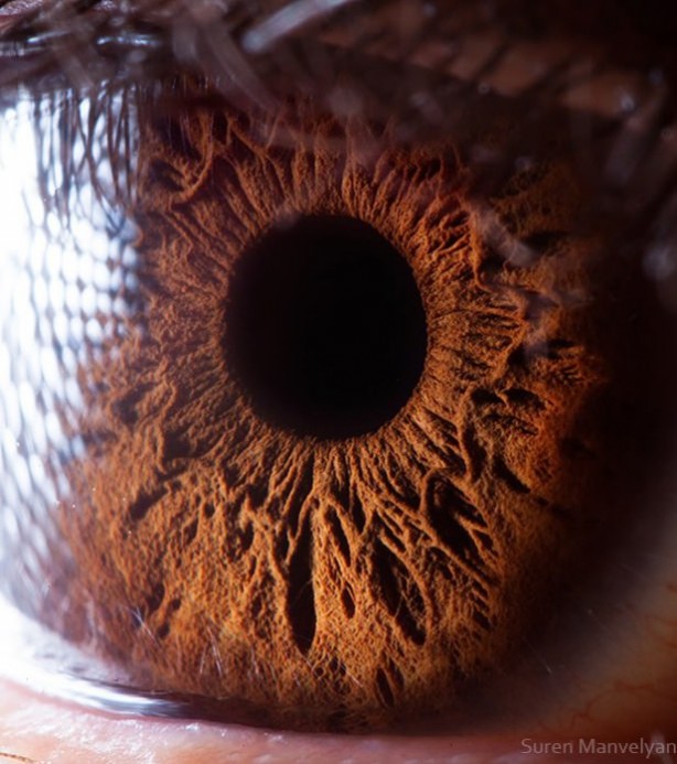 Foto - Gözlere bir de yakından bakın