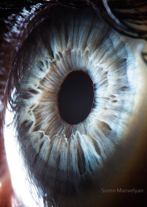 Foto - Gözlere bir de yakından bakın