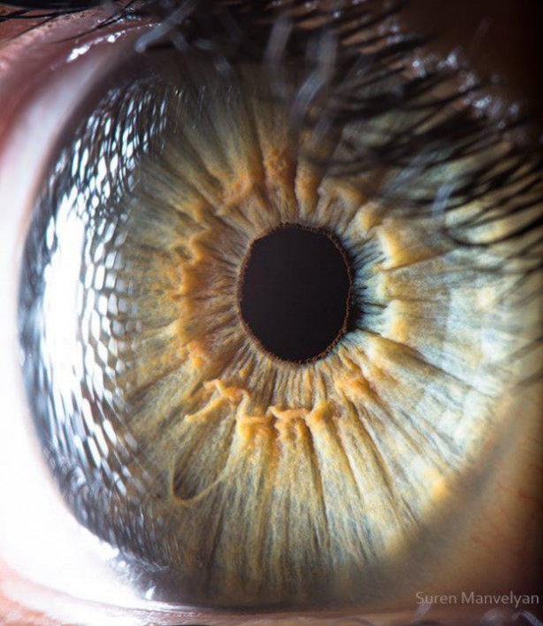 Foto - Gözlere bir de yakından bakın