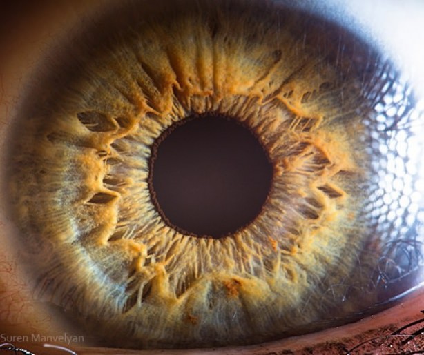 Foto - Gözlere bir de yakından bakın