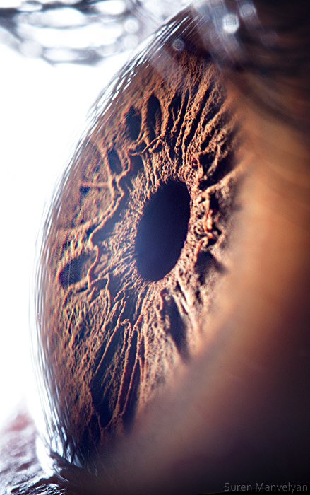 Foto - Gözlere bir de yakından bakın