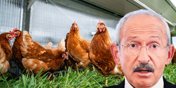 Gözleri var görmez kulakları var duymaz! Kılıçdaroğlu'nun iftirası kümeste patladı