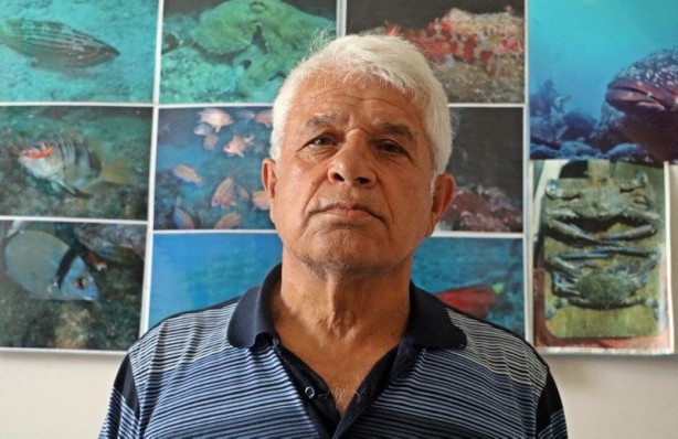 Foto - Gözleri zümrüt gibi! Dişleri korkunç... Antalya'da ortaya çıktı