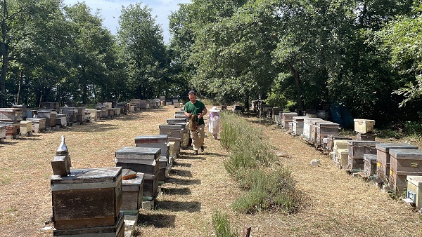 Foto - Gözlerine inanmakta zorluk çekti! Sizce bu yeşil sıvı ne? 