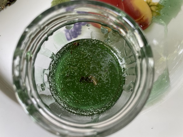 Foto - Gözlerine inanmakta zorluk çekti! Sizce bu yeşil sıvı ne? 