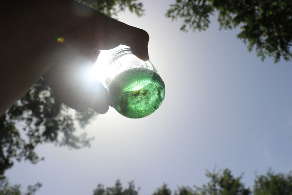 Foto - Gözlerine inanmakta zorluk çekti! Sizce bu yeşil sıvı ne? 