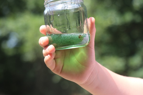 Gözlerine inanmakta zorluk çekti! Sizce bu yeşil sıvı ne? 