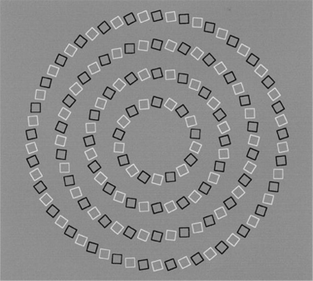 Gözlerinize inanamayacaksınız