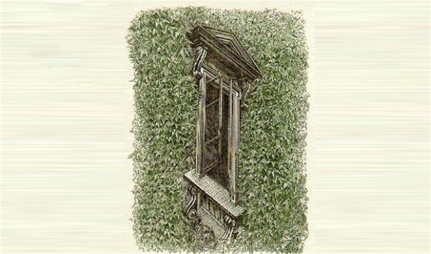 Foto - Gözlerinize inanamayacaksınız