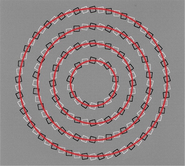 Foto - Gözlerinize inanamayacaksınız