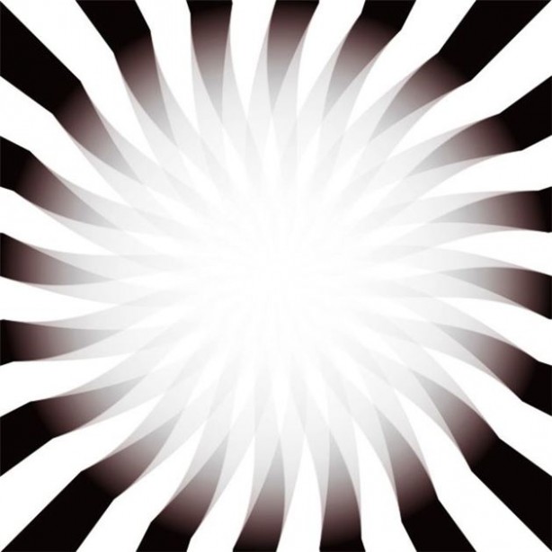 Foto - Gözlerinize inanamayacaksınız