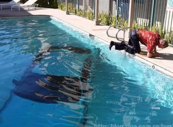 Foto - Gözlerinize inanamayacaksınız! Bu kadarda olmaz dedirten kazalar