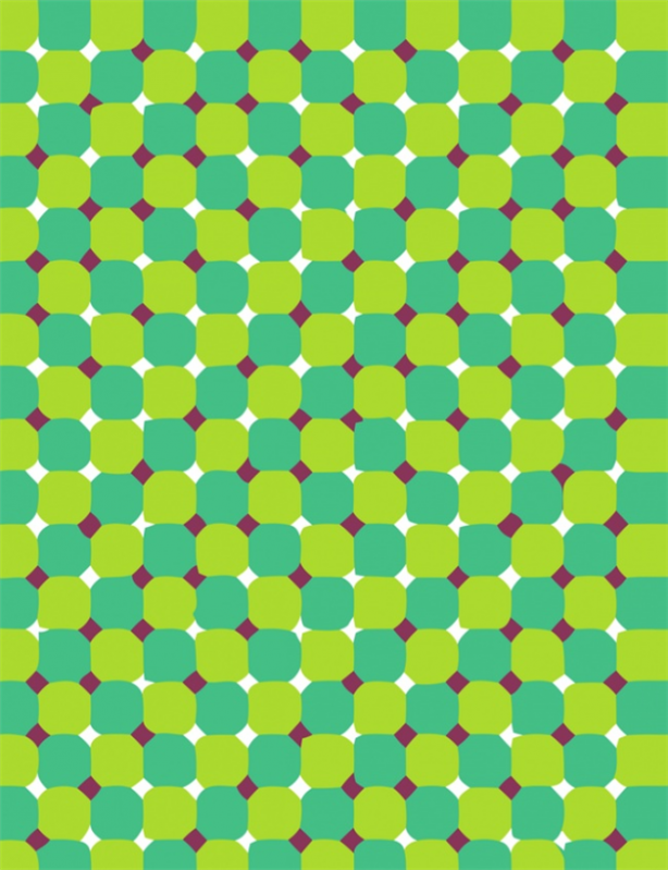 Foto - Gözlerinize inanamayacaksınız