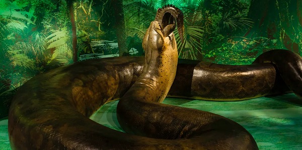 Foto - Gözlerinize inanamayacaksınız! İşte, dünya tarihinin en büyük yılanı