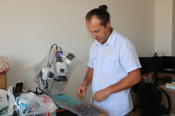 Foto - Gözlerinize inanamayacaksınız! İşte dünyanın en küçük memeli hayvanı