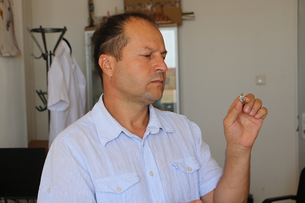 Foto - Gözlerinize inanamayacaksınız! İşte dünyanın en küçük memeli hayvanı