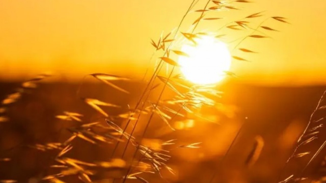 Foto - Gözlük kullanırken bu hatayı sakın yapmayın: Sarı nokta hastalığına sebep oluyor!