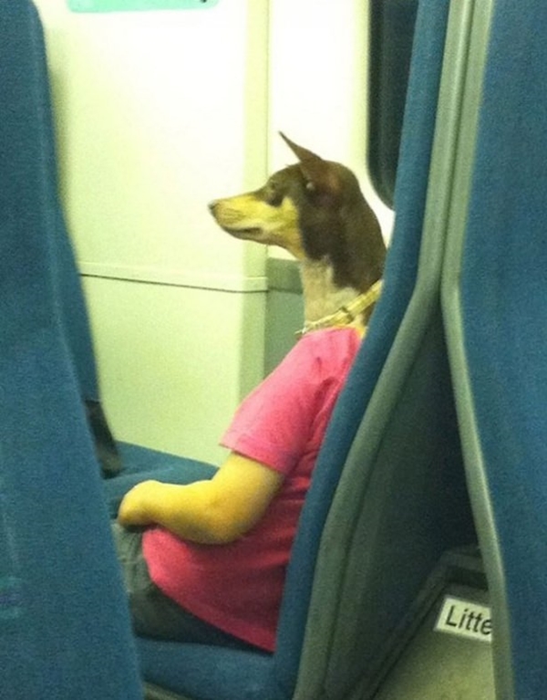 Foto - Gözünüzün sizi yanıltacağı fotoğraflar