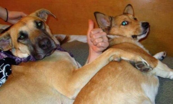 Foto - Gözünüzün sizi yanıltacağı fotoğraflar