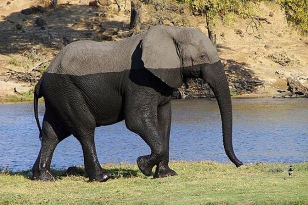Foto - Gözünüzün sizi yanıltacağı fotoğraflar