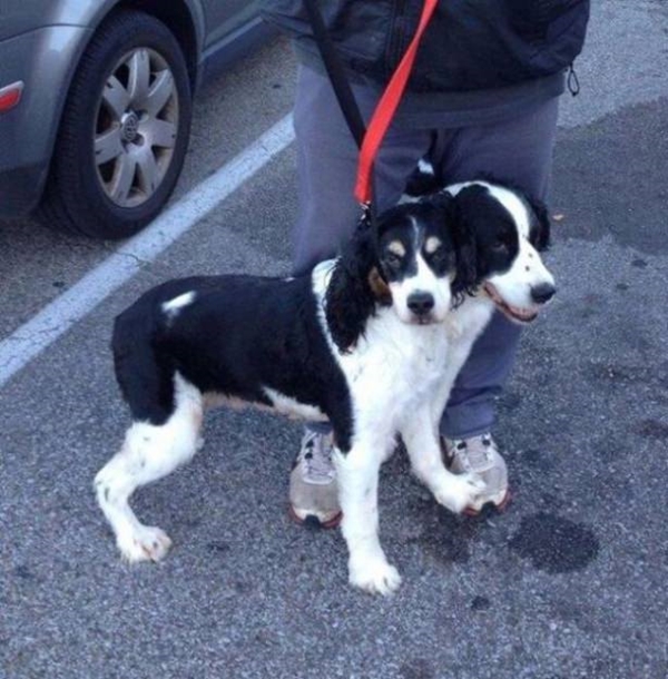 Foto - Gözünüzün sizi yanıltacağı fotoğraflar