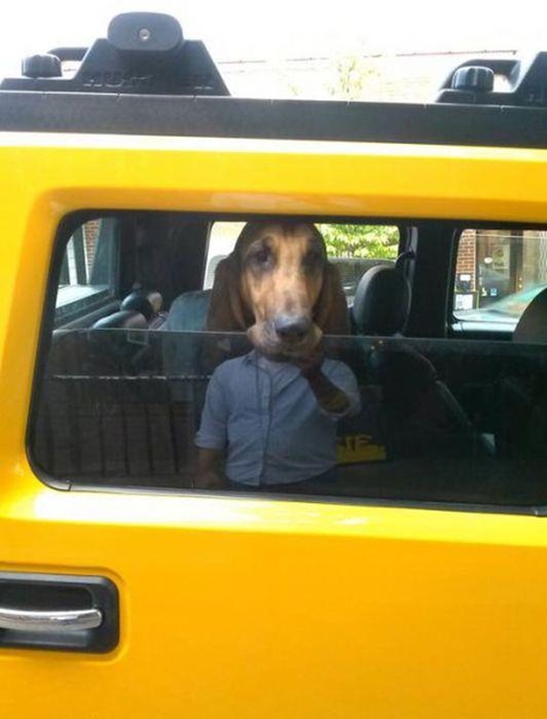 Foto - Gözünüzün sizi yanıltacağı fotoğraflar
