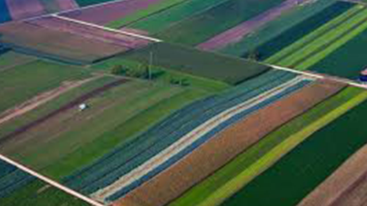 Foto - Gram altın 400 lirayken alın diye yalvaran Ramazan Kurtoğlu uyardı: Parası olan acilen bu iki şeyi alsın