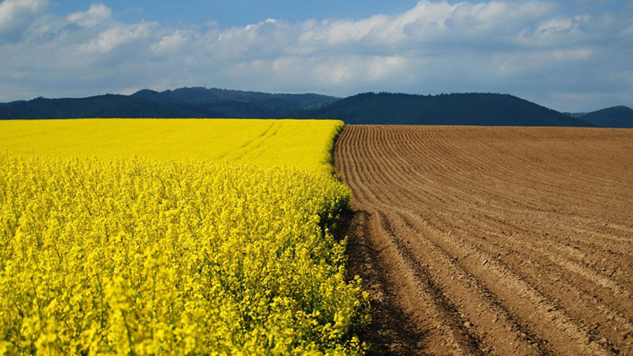 Foto - Gram altın 400 lirayken alın diye yalvaran Ramazan Kurtoğlu uyardı: Parası olan acilen bu iki şeyi alsın