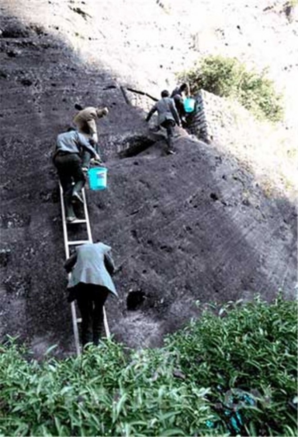 Foto - Gramı altından 30 kat pahalı