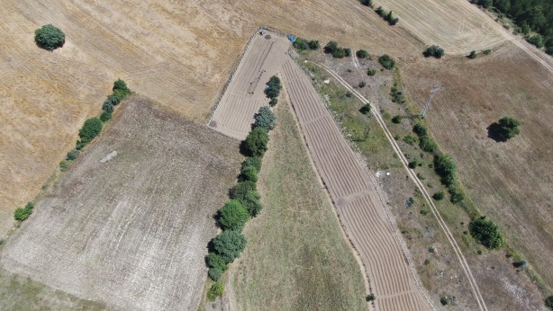 Foto - Gramı bile cep yakıyor! Dünyanın en pahalısından haber var