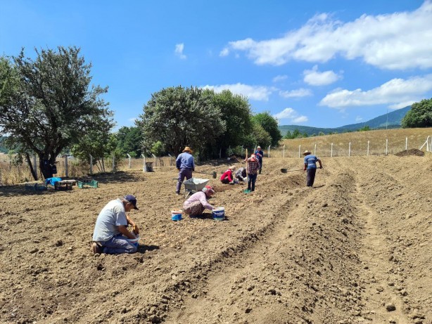 Foto - Gramı bile cep yakıyor! Dünyanın en pahalısından haber var