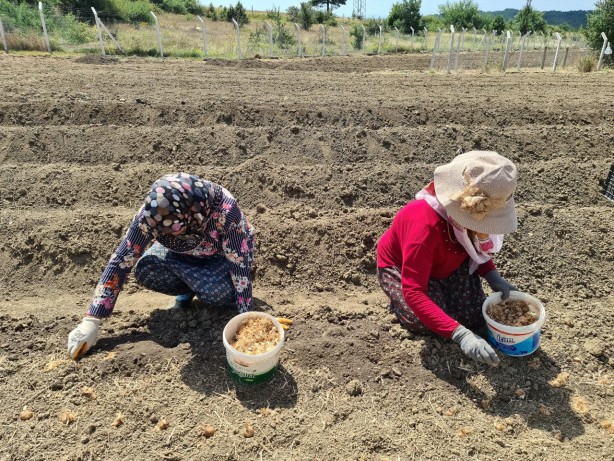 Foto - Gramı bile cep yakıyor! Dünyanın en pahalısından haber var