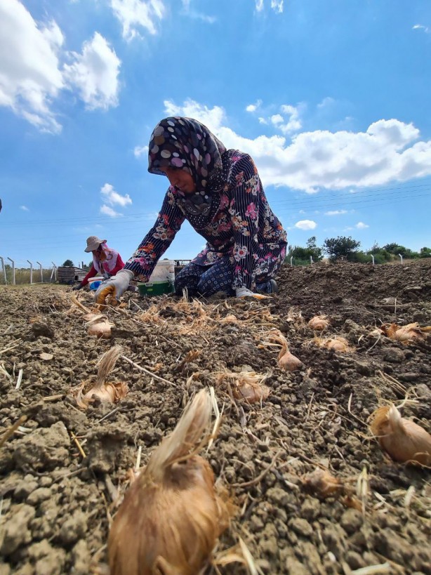 Foto - Gramı bile cep yakıyor! Dünyanın en pahalısından haber var