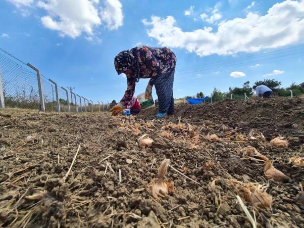 Foto - Gramı bile cep yakıyor! Dünyanın en pahalısından haber var