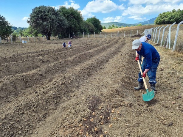 Foto - Gramı bile cep yakıyor! Dünyanın en pahalısından haber var